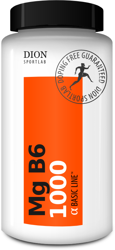 α Mg-B6 1000